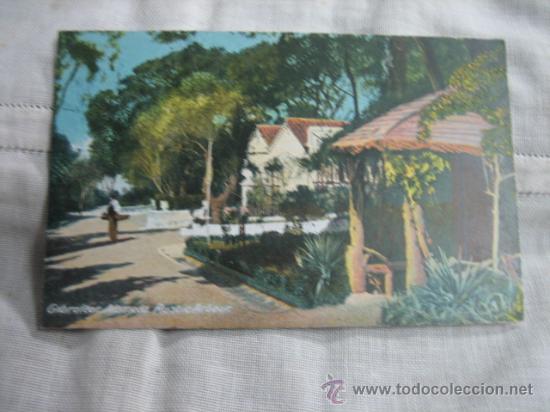 Postales: GIBRALTAR, ALAMEDA RUSTIC ARBOUR - Foto 1