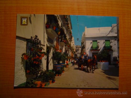 Postales: POSTAL CADIZ PLAZUELA DELTIO DE LA TIZA SIN CIRCULAR