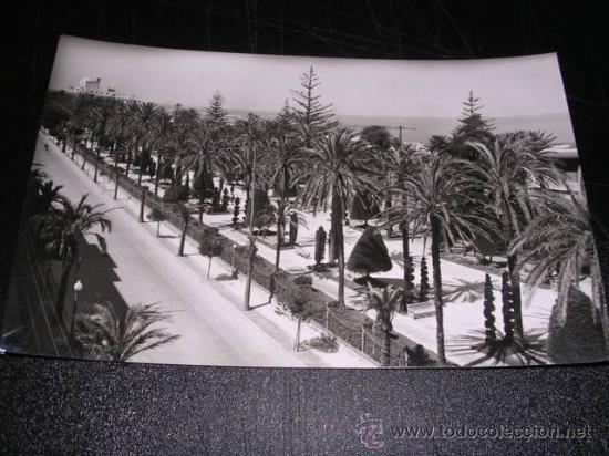 Postales: 1074- CADIZ.PARQUE GENOVES.EDC. ARRIBAS-15X10 CM.