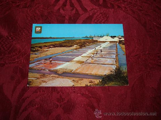 Postales: San Fernando Cadiz ,salinas extraccion de sal en los tajos,Subirats Casanovas