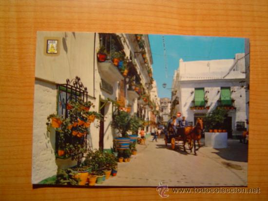 Postales: POSTAL CADIZ PLAZUELA DEL TIO DE LA TIZA SIN CIRCULAR
