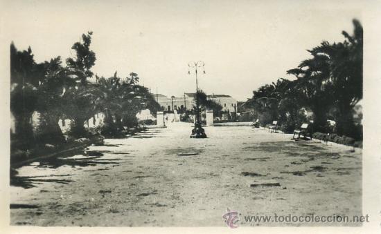 Postales: MEDINA SIDONIA (CADIZ). N&ordm; 9. PASEO PRINCIPAL DEL PARQUE     P/ ANMED-001,3