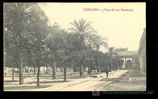 Postais: TARJETA POSTAL DE CORDOBA. PATIO DE LOS NARANJOS. FOTPIA. CASTA&Ntilde;EIRA Y ALVAREZ.