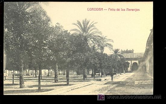 Postais: TARJETA POSTAL DE CORDOBA. PATIO DE LOS NARANJOS. FOTPIA. CASTA&Ntilde;EIRA Y ALVAREZ.