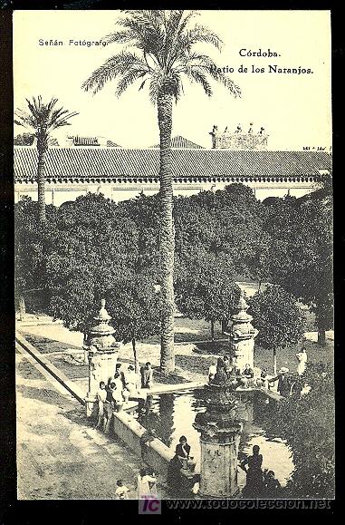 Postcards: TARJETA POSTAL DE CORDOBA. PATIO DE LOS NARANJOS. SE&Ntilde;AN, FOT. FOTPIA. HAUSER Y MENET.