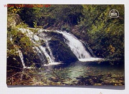 Postales: PARQUE NATURAL DE CAZORLA,SEGURA Y LAS VILLAS.RESERVA DE LA BIOSFERA.RIO BOROSA.No circulada.
