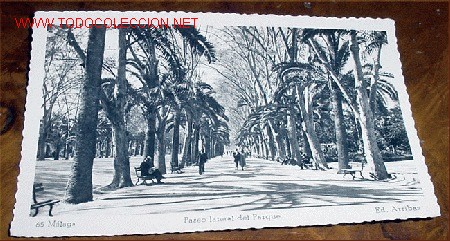 Postales: ANTIGUA FOTOPOSTAL DE MALAGA - PASEO LATERAL DE PARQUE - ED. ARRIBAS