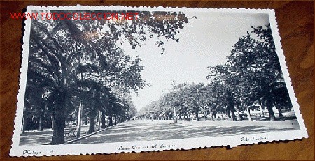 Postales: ANTIGUA FOTOPOSTAL DE MALAGA - PASEO CENTRAL DEL PARQUE - ED. ARRIBAS