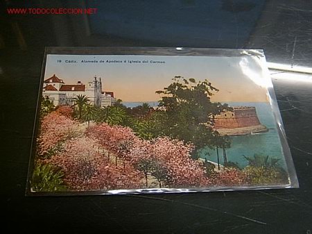 Postales: POSTAL CADIZ -  ALAMEDA DE APOCADA E IGLESIA DEL CARMEN   N&Uacute;MERO 19