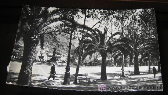 Postales: ANTIGUA POSTAL DE MALAGA - PALMERAS DEL PARQUE Y FUENTE - NO ESTA  - NO CIRCULADA