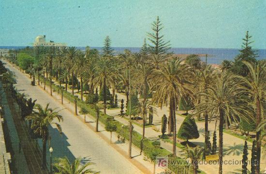 Postales: TARJETA POSTAL DE CADIZ.PARQUE GENOVES