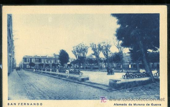 Postkarten: TAREJETA POSTAL DE SAN FERNANDO.CADIZ.ALAMEDA DE MORENO DE GUERRA