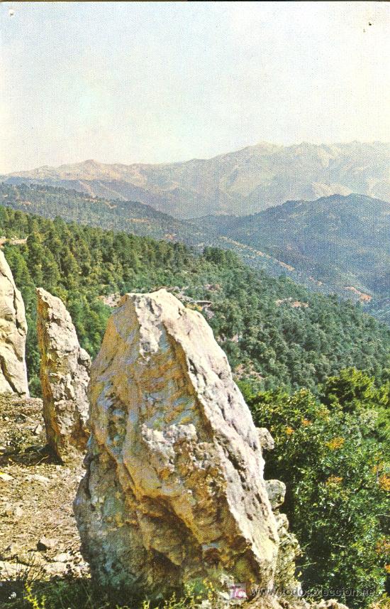 Postales: TARJETA POSTAL DE LA SIERRA DE CAZORLA. VALLE DEL GUADALQUIVIR