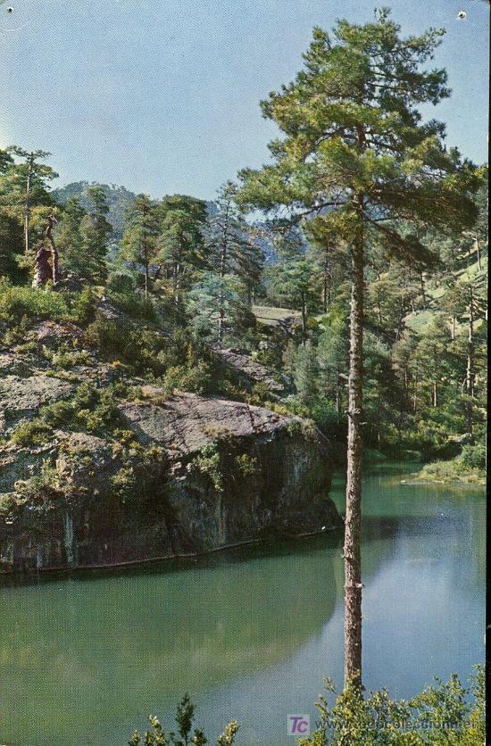 Postales: TARJETA POSTAL DE LA SIERRA DE CAZORLA. LAGUNA DE VALDEAZORES