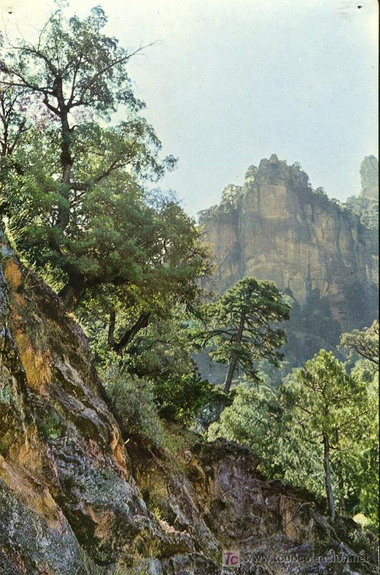 Postales: TARJETA POSTAL DE LA SIERRA DE CAZORLA. GARGANTA DE LA AGRACEA