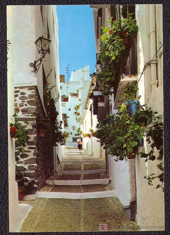Postales: POSTAL DE ALMU&Ntilde;ECAR - CALLE T&Iacute;PICA