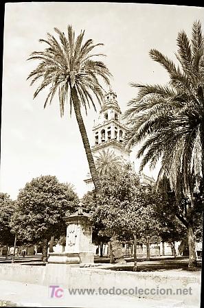 Postcards: CLICHE ORIGINAL - CORDOBA, NEGATIVO EN CELULOIDE - EDICIONES ARRIBAS