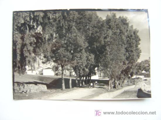 Postais: CORTES DE LA FRONTERA (MALAGA)