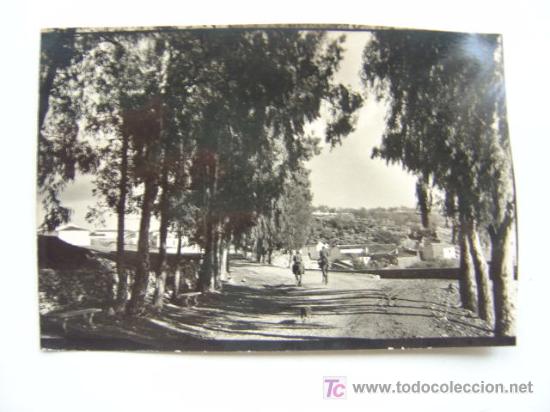 Postales: CORTES DE LA FRONTERA (MALAGA)