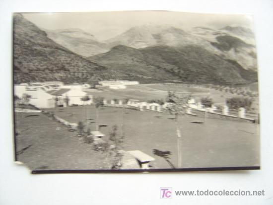 Postales: CORTES DE LA FRONTERA (MALAGA)
