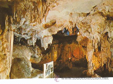 Postales: Cueva de Nerja, M&aacute;laga, Sala del Museo - Foto 1