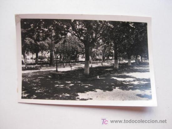 Postales: MARBELLA   (MALAGA) - Foto 1