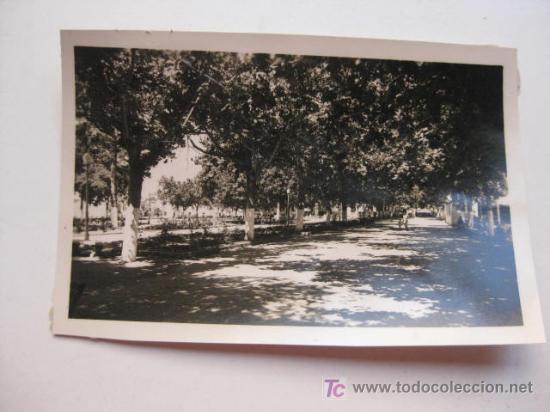 Postales: MARBELLA   (MALAGA) - Foto 1