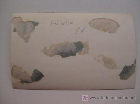 Postales: MARBELLA   (MALAGA) - Foto 2