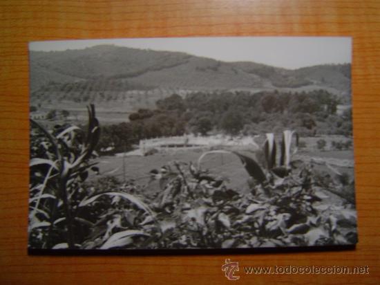 Cartes Postales: FOTO POSTAL CAZALLA DE LA SIERRA