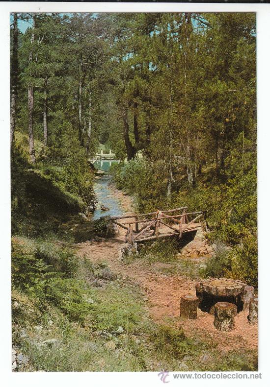 Postales: 23. SIERRA DE CAZORLA (JAEN). ZONA RECREATIVA DE LINAREJOS