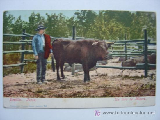 Postales: SEVILLA FERIA - Foto 1