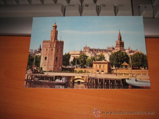Postales: SEVILLA  TORRE DEL ORO - Foto 1
