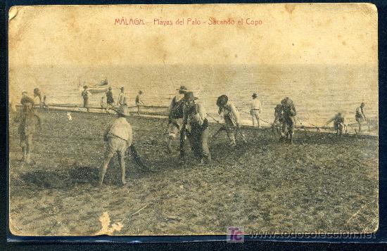 Postales: MALAGA : Fototipia Casta&ntilde;eira - Playas del Palo, Sacando el Copo. Costumbrista