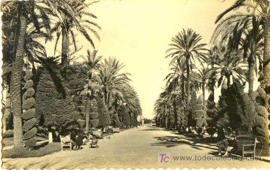 Cartoline: TARJETA POSTAL DE CADIZ N&ordm; 246. PARQUE GENOVES. ED. AISA