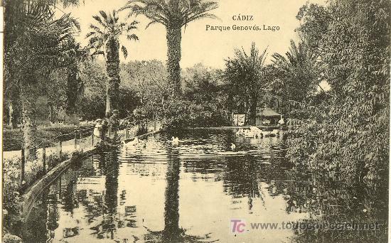 Cartoline: TARJETA POSTAL DE CADIZ. PARQUE GENOVEZ. LAGO. FOTOTIPIA HAUSER Y MENET