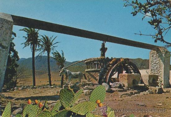 Postales: TARJETA POSTAL NORIA BURRO ALMERIA