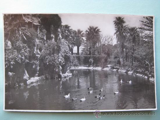 Postales: CADIZ - PARQUE GENOVES.CASCADA (ED.GARCIA GARRABELLA)