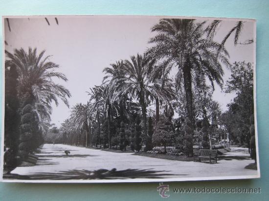 Postales: CADIZ - PARQUE GENOVES - PASEO CENTRAL