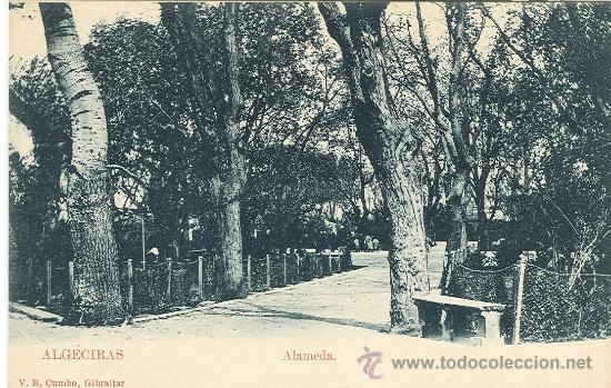 Postkarten: ALGECIRAS. ALAMEDA.