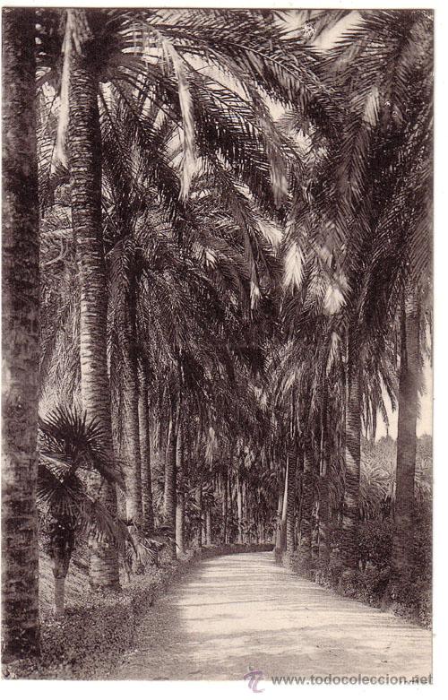 Postales: N&ordm; 738 POSTAL MALAGA JARDINES DE LA CONCEPCION L ROISIN