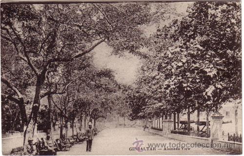Postales: N&ordm; 792 POSTAL GIBRALTAR ALAMEDA VIEW - Foto 1