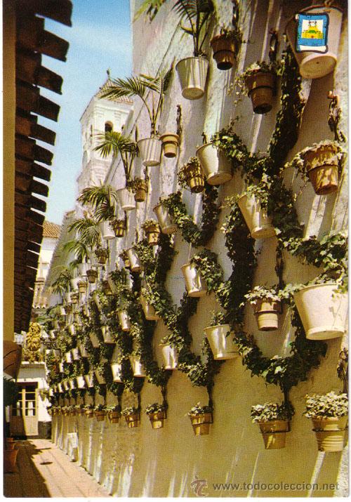 Postales: N&ordm; 2522 POSTAL MARBELLA MALAGA - Foto 1
