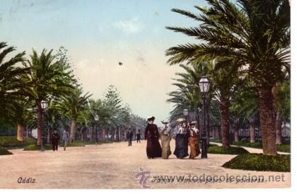 Cartes Postales: N&ordm; 3942 POSTAL CADIZ PARQUE GENOVES PASEO DE PALMERAS