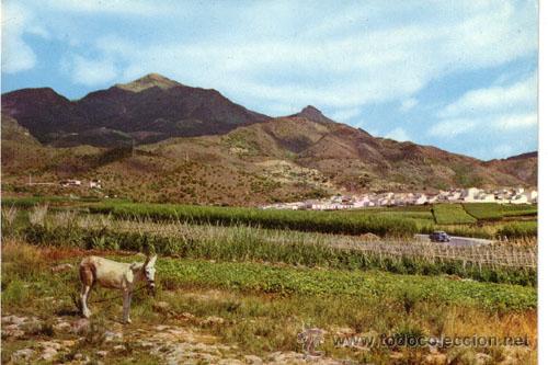 Postales: N&ordm; 3755 POSTAL NERJA MALAGA - Foto 1