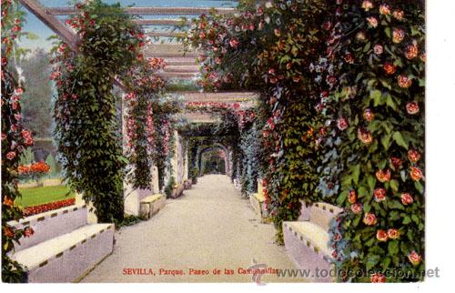 Postales: N&ordm; 4036 POSTAL SEVILLA PARQUE EDITORIAL EL SOL - Foto 1