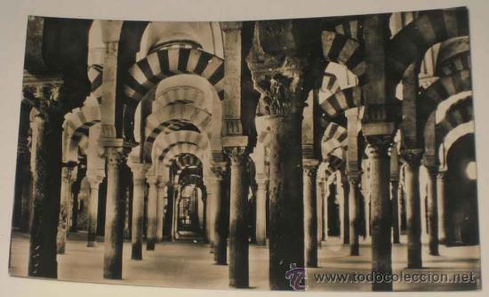 Postcards: ANTIGUA FOTO POSTAL DE CORDOBA . MEZQUITA, LABERINTO DE COLUMNAS - HELIOTIPIA ARTISTICA ESPA&Ntilde;OLA 42
