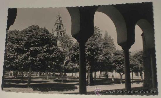 Postkarten: ANTIGUA FOTO POSTAL DE CORDOBA . PATIO DE LOS NARANJOS Y CAMPANARIO DE LA CATEDRAL - GARCIA GARRABEL