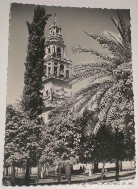 Postkarten: ANTIGUA FOTO POSTAL DE CORDOBA . TORRE DE LA CATEDRAL - GARCIA GARRABELLA 89 - SIN CIRCULAR