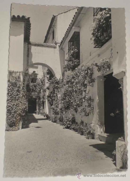 Cartoline: ANTIGUA FOTO POSTAL DE CORDOBA . PATIO TIPICO - GARCIA GARRABELLA 84 - SIN CIRCULAR