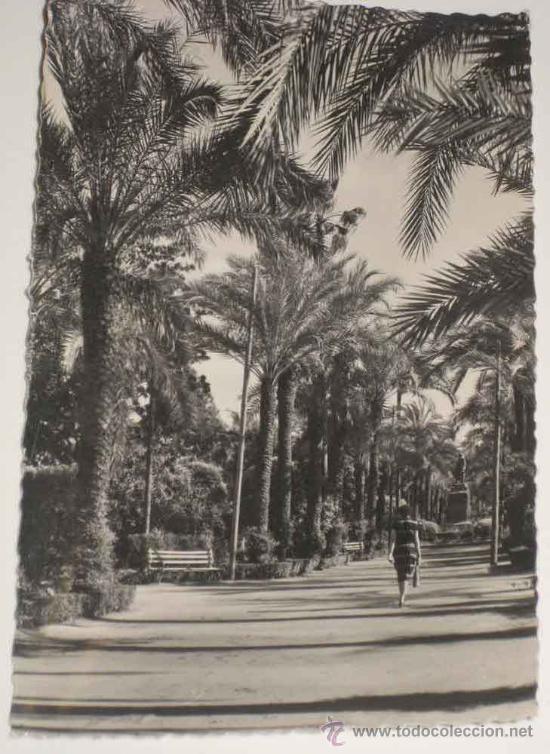 Cartoline: ANTIGUA POSTAL DE CORDOBA, JARDINES DE LA VICTORIA. GARCIA GARRABELLA 47 - SIN CIRCULAR